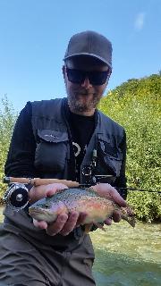 small stream rainbow, Slovenia fly fishing